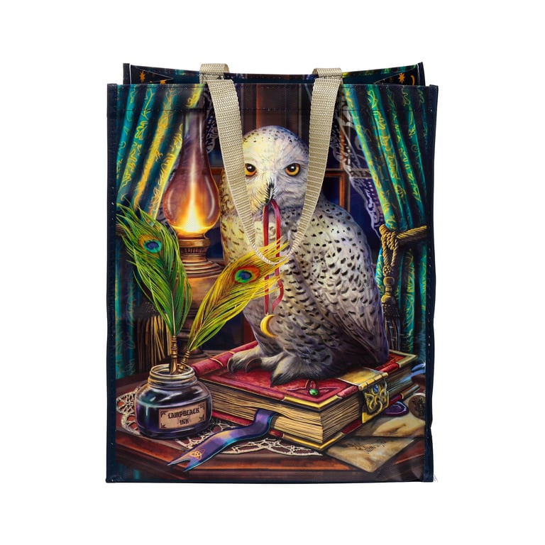 Lisa Parker Guardian of Spells Owl Durable Reusable Shopping Bag