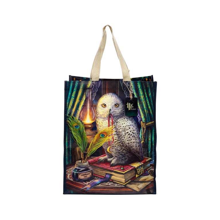 Lisa Parker Guardian of Spells Owl Durable Reusable Shopping Bag