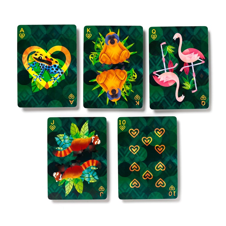 Animal Kingdom Standard Deck of Playing Cards - 52 Card Plus Jokers