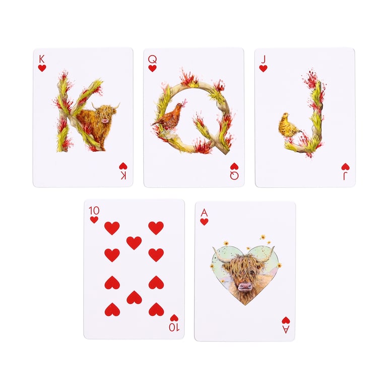 Jan Pashley Highland Coo 52 Card Licensed Deck of Playing Cards with Jokers