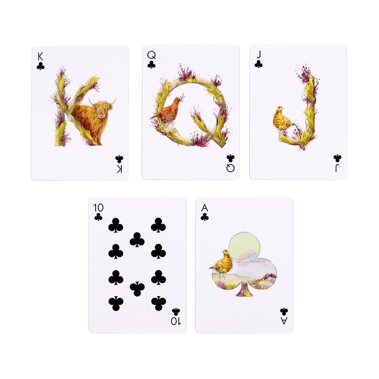 Jan Pashley Highland Coo 52 Card Licensed Deck of Playing Cards with Jokers