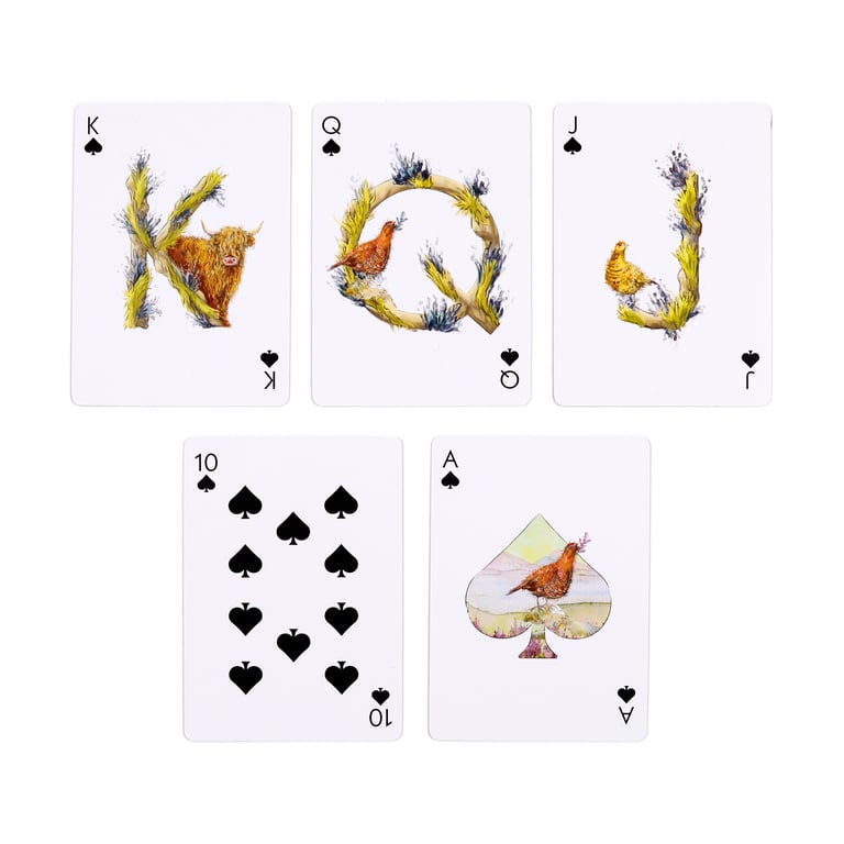 Jan Pashley Highland Coo 52 Card Licensed Deck of Playing Cards with Jokers