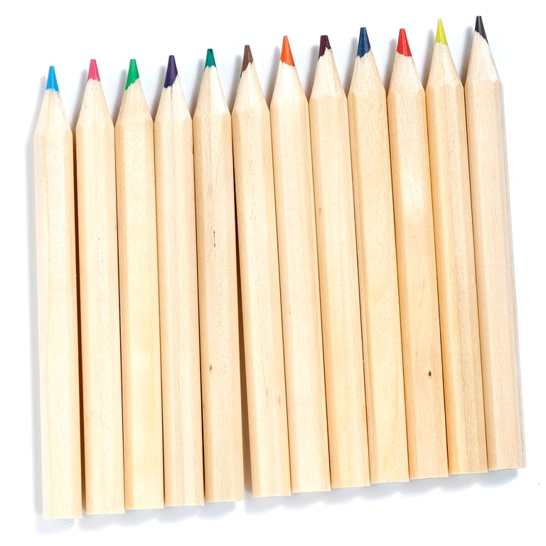 Wooden Colouring Pencil Set - 12 Piece Assorted Zoo-Themed Colours