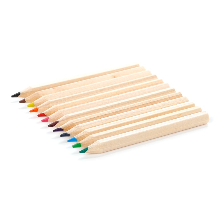 Zooniverse 2022 Wooden Colouring Pencil Tube - 12 Assorted Coloured Pencils in Poplar Wood Card Tube