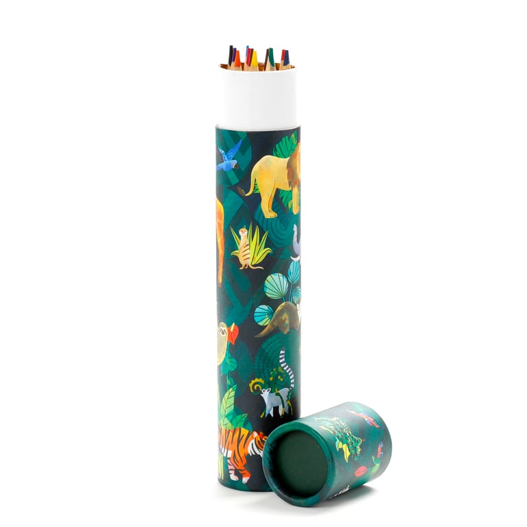 Large Colouring Pencil Tube - Animal Kingdom Set of 12 Assorted Wooden Colours in Poplar Wood Card Storage