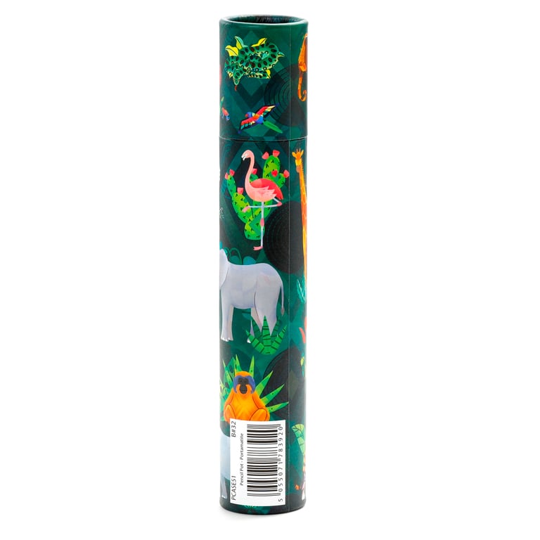 Large Colouring Pencil Tube - Animal Kingdom Set of 12 Assorted Wooden Colours in Poplar Wood Card Storage