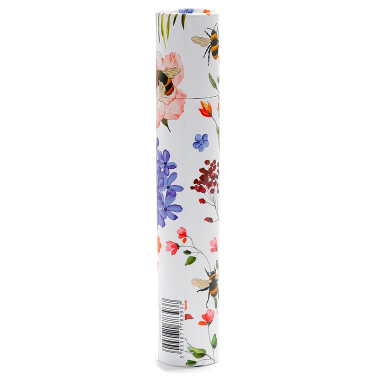 Large Colouring Pencil Tube - 12 Assorted Colours, Wooden Poplar & Card Stock Pencils Set