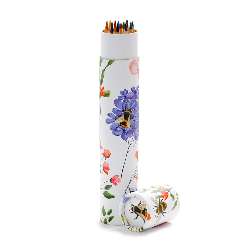 Large Colouring Pencil Tube - 12 Assorted Colours, Wooden Poplar & Card Stock Pencils Set
