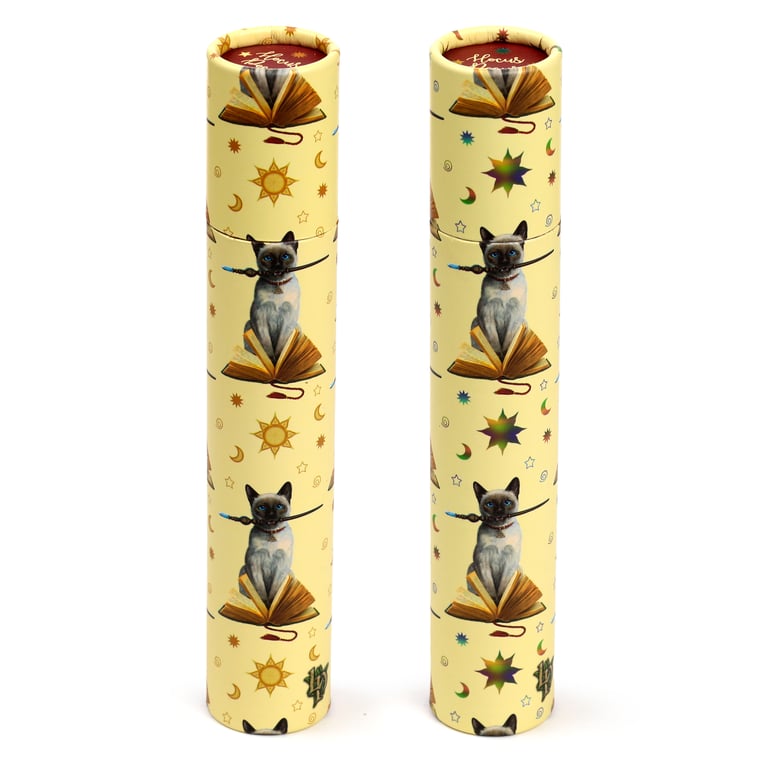 Lisa Parker Hocus Pocus Cat 12 Colour Wooden Pencil Set