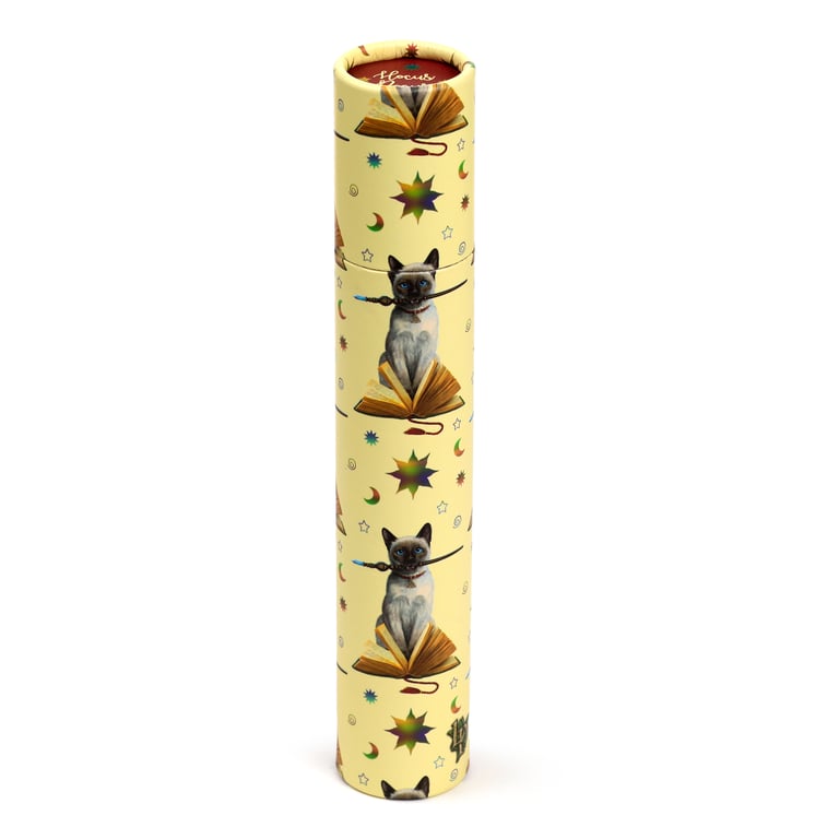 Lisa Parker Hocus Pocus Cat 12 Colour Wooden Pencil Set
