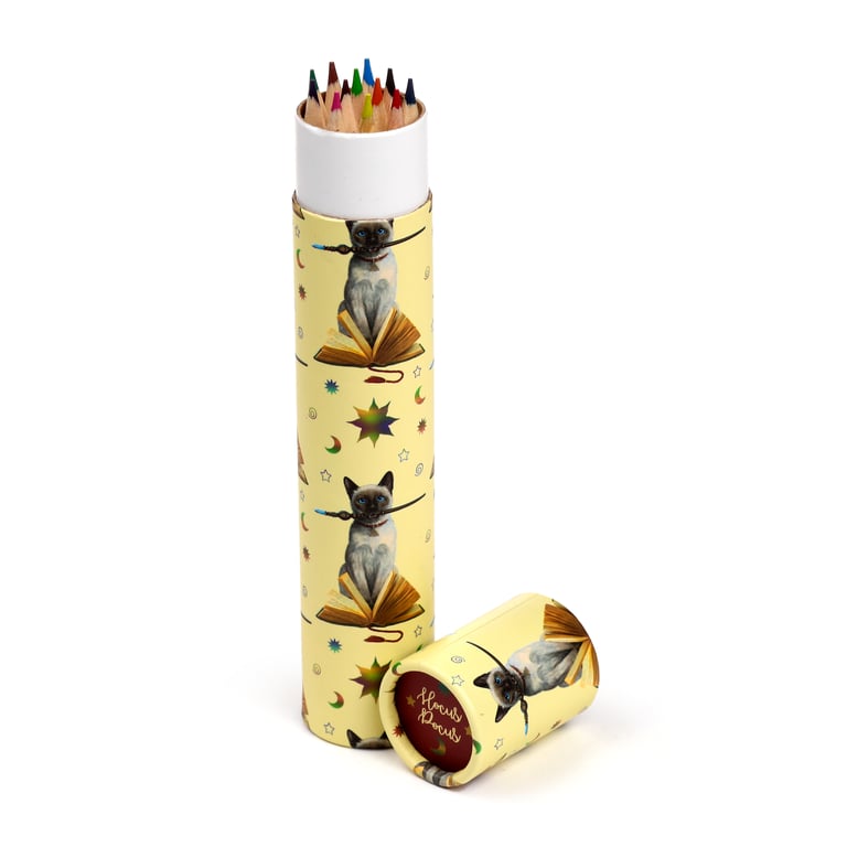 Lisa Parker Hocus Pocus Cat 12 Colour Wooden Pencil Set