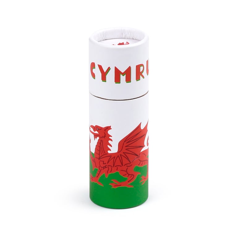 Wooden Colouring Pencils - 12 Piece Assorted Colours Set - Dragon Themed Art Supplies