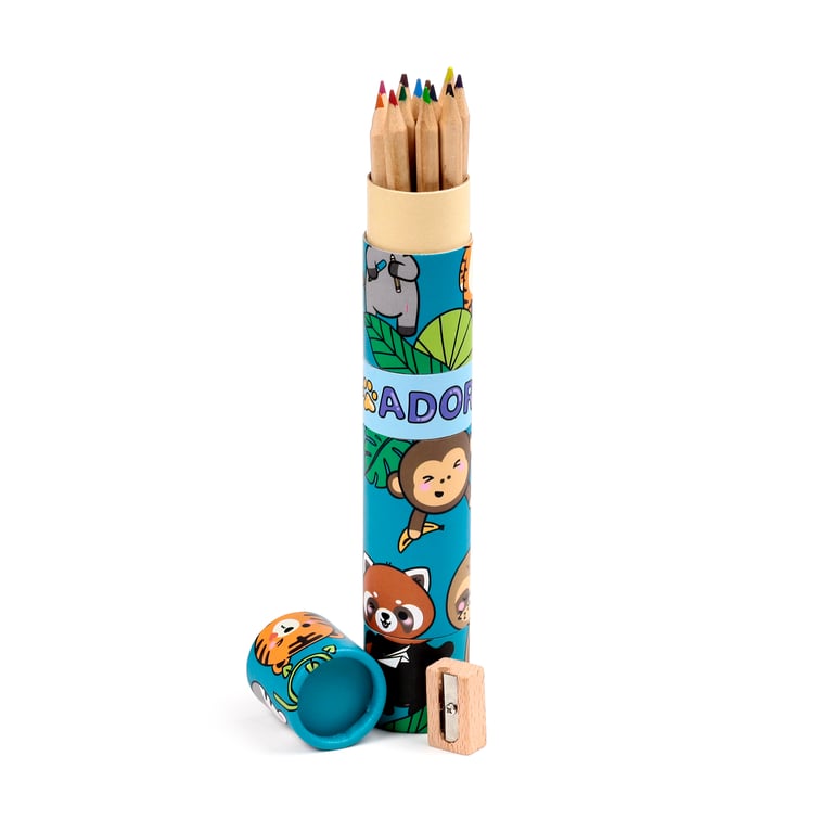 12-Piece Poplar Wood Colouring Pencil Set with Sharpener and Twist Top Tube Case