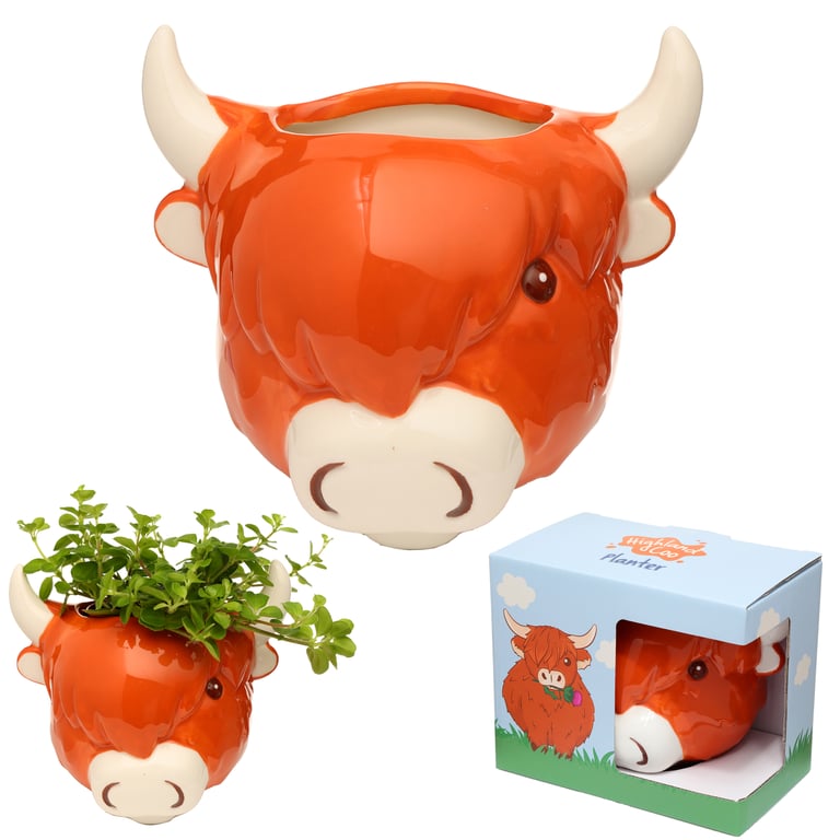 Decorative Ceramic Highland Coo Cow Wall Planter - Indoor/Outdoor Plant Container with Dolomite Material and Wall Mount Option
