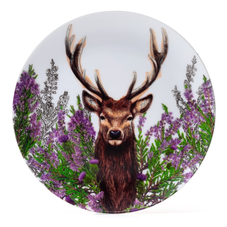 Wild Stag Recycled RPET Picnic Plates - Reusable & Dishwasher Safe Set of 4