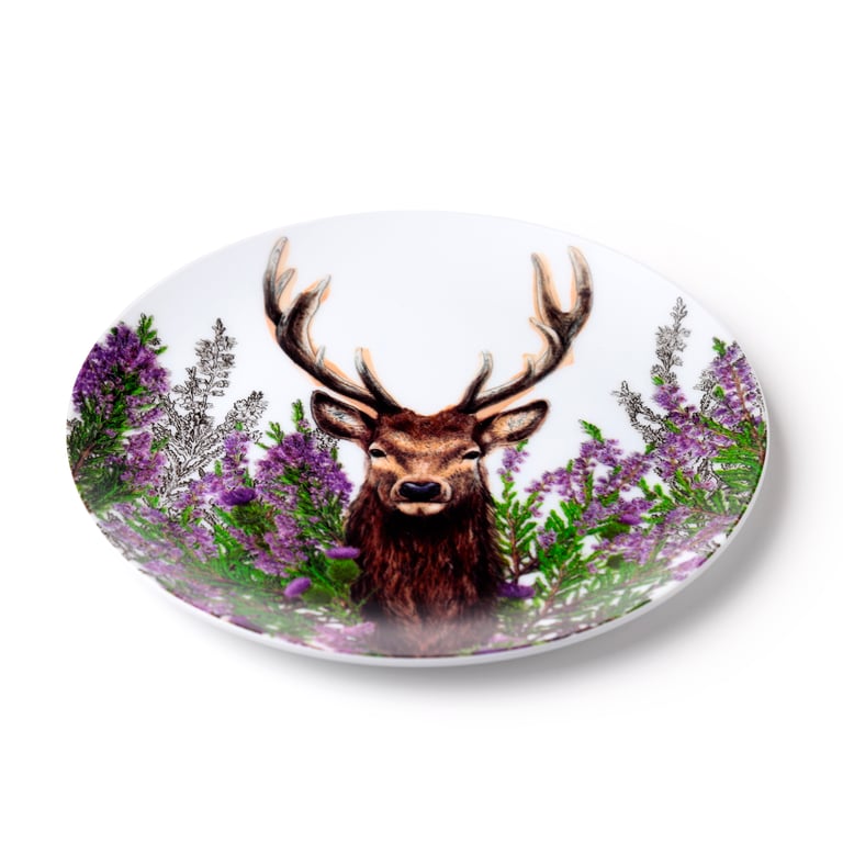 Wild Stag Recycled RPET Picnic Plates - Reusable & Dishwasher Safe Set of 4