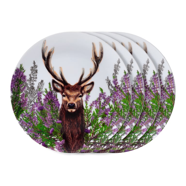 Wild Stag Recycled RPET Picnic Plates - Reusable & Dishwasher Safe Set of 4