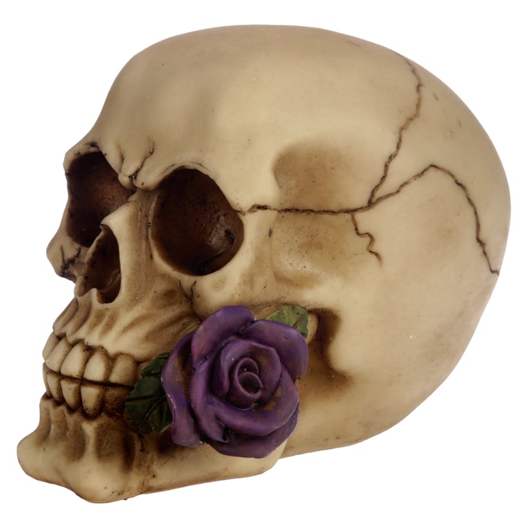 Gothic Resin Skull Decoration with Purple Roses - Home Gothic Decor