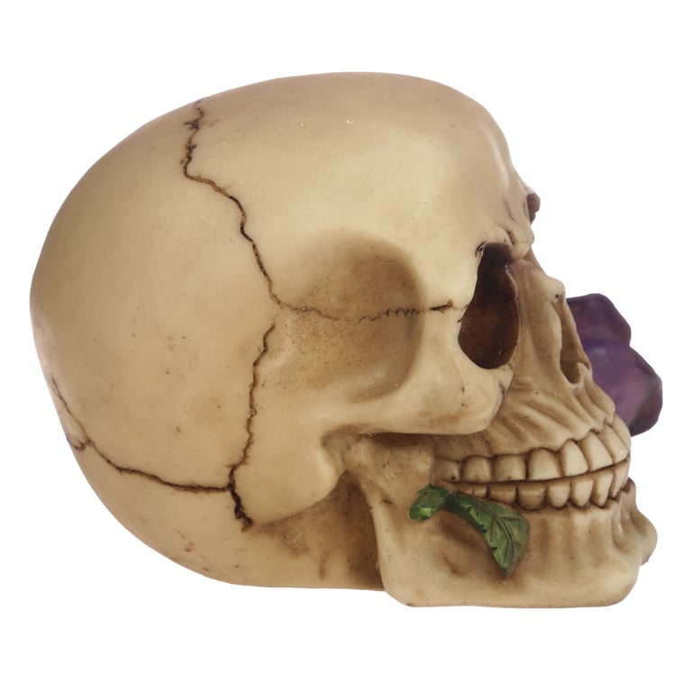 Gothic Resin Skull Decoration with Purple Roses - Home Gothic Decor