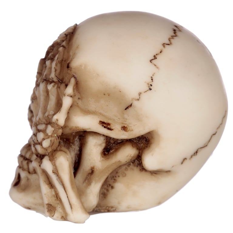 Speak No Evil, Hear No Evil, See No Evil Set of 3 Resin Skulls Home Decor Decoration