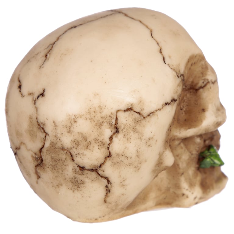 Resin Gothic Skulls and Roses Ornament - Home Decor Decoration for Halloween Season