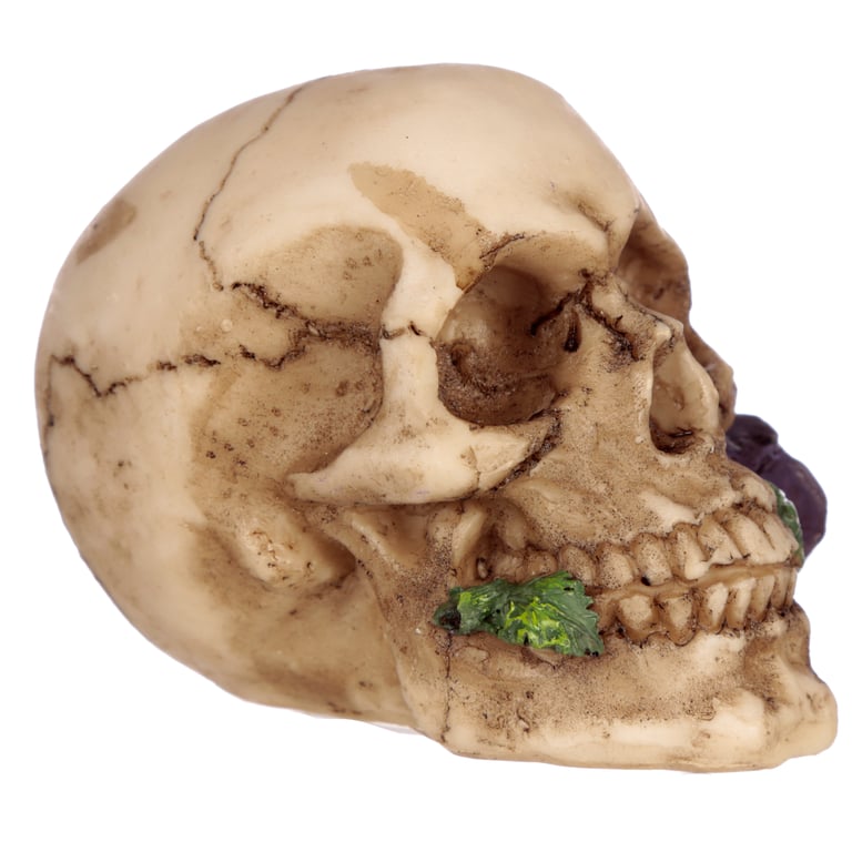 Resin Gothic Skulls and Roses Ornament - Home Decor Decoration for Halloween Season