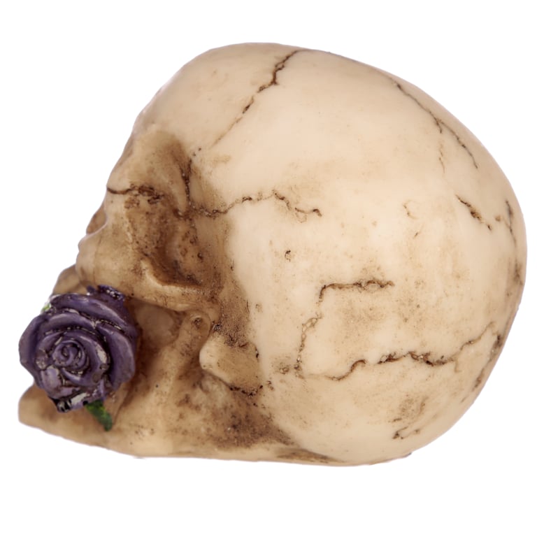 Resin Gothic Skulls and Roses Ornament - Home Decor Decoration for Halloween Season