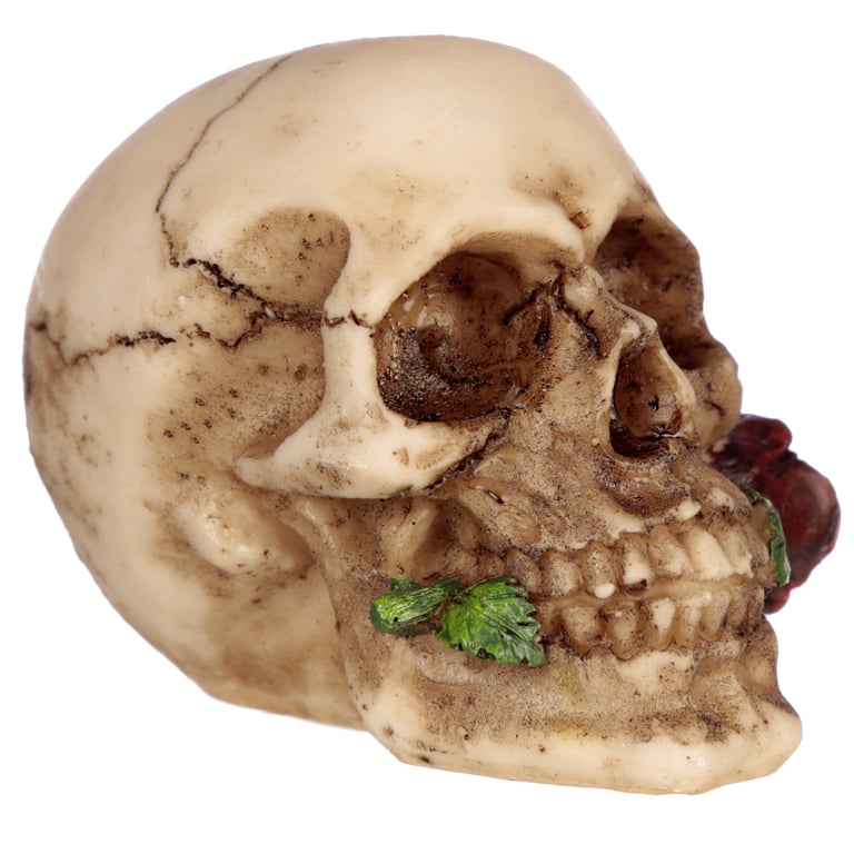 Resin Gothic Skulls and Roses Ornament - Home Decor Decoration for Halloween Season