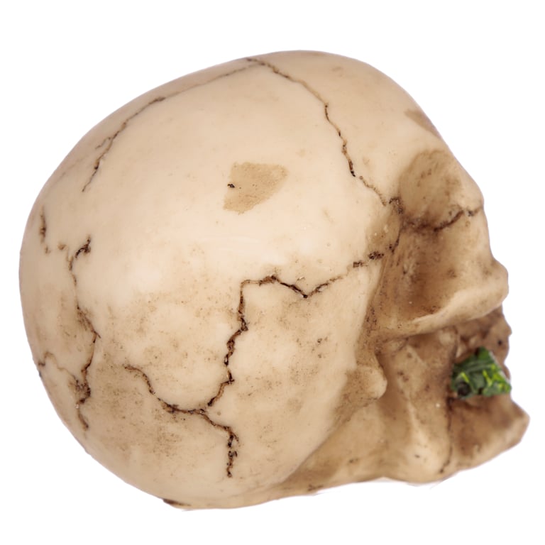 Resin Gothic Skulls and Roses Ornament - Home Decor Decoration for Halloween Season