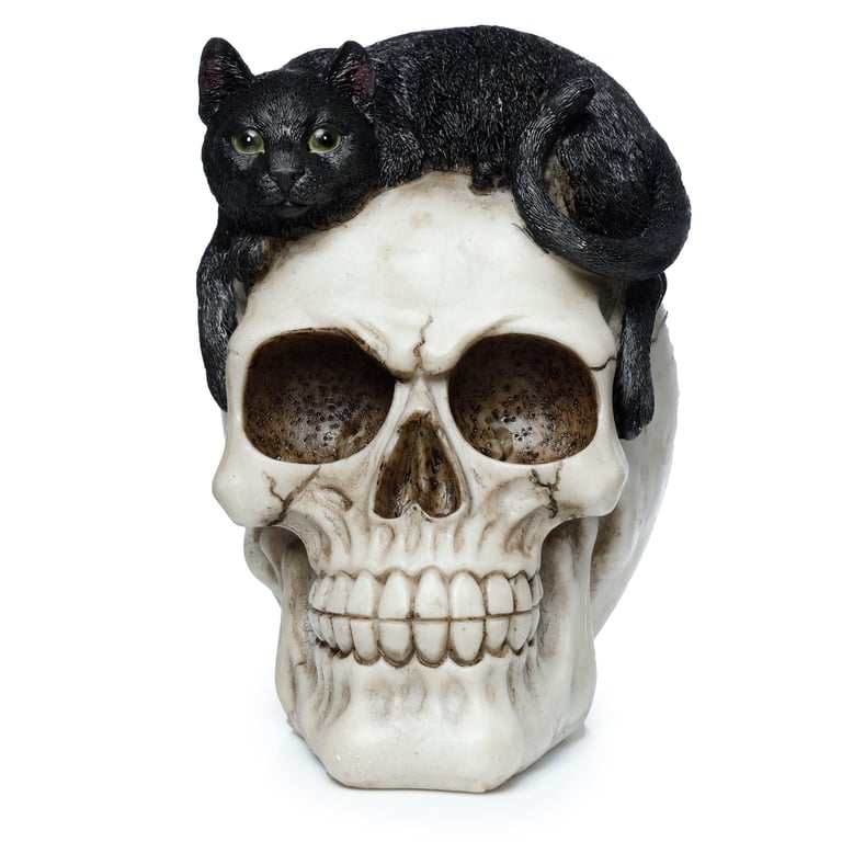 Resin Fantasy Skull Ornament with Black Cat Decoration