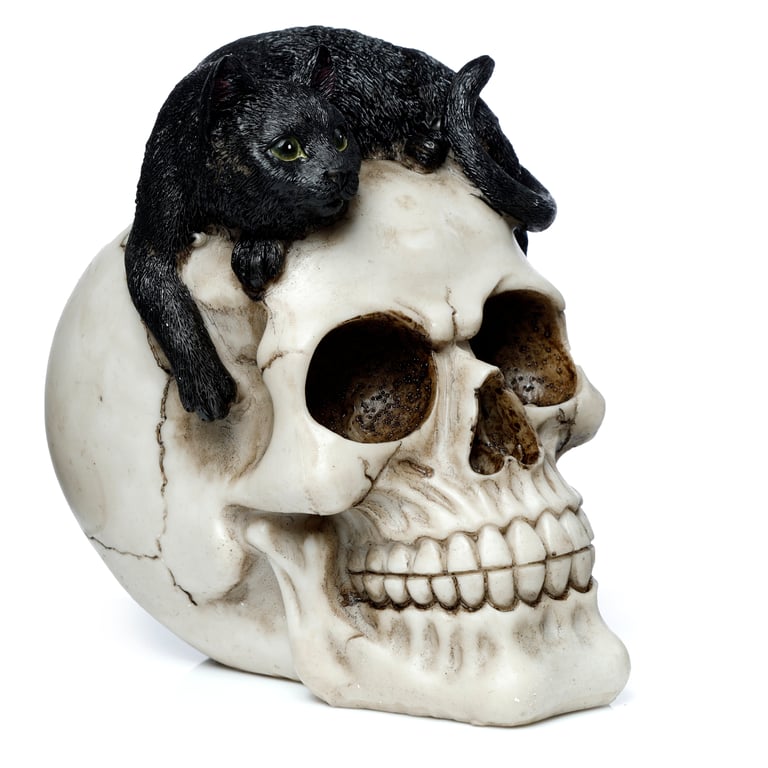 Resin Fantasy Skull Ornament with Black Cat Decoration