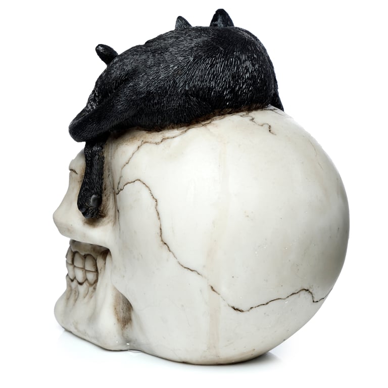 Resin Fantasy Skull Ornament with Black Cat Decoration
