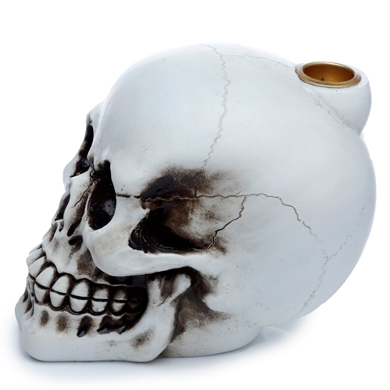 Backflow Resin Skull Incense Burner with 30 Minute Burn Time