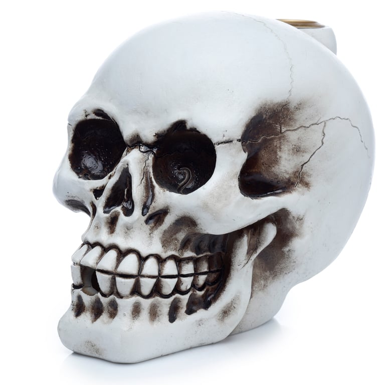 Backflow Resin Skull Incense Burner with 30 Minute Burn Time