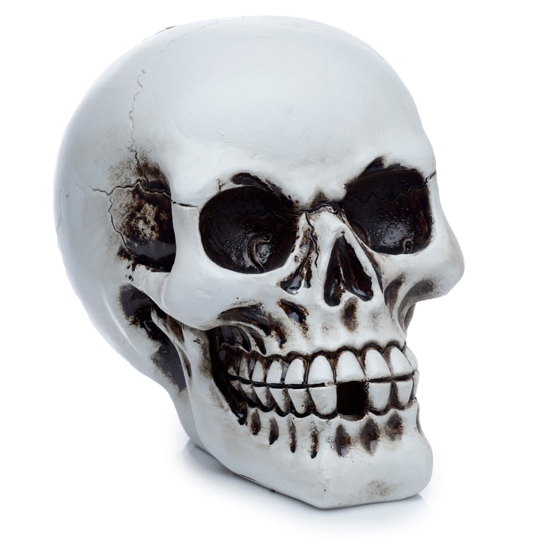 Backflow Resin Skull Incense Burner with 30 Minute Burn Time