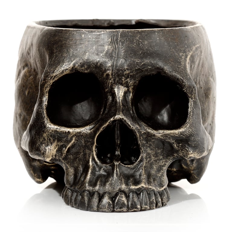 Skull Resin Planter - Indoor/Outdoor Garden Decoration with Drainage Hole