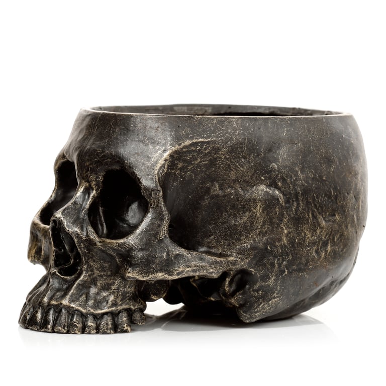 Skull Resin Planter - Indoor/Outdoor Garden Decoration with Drainage Hole