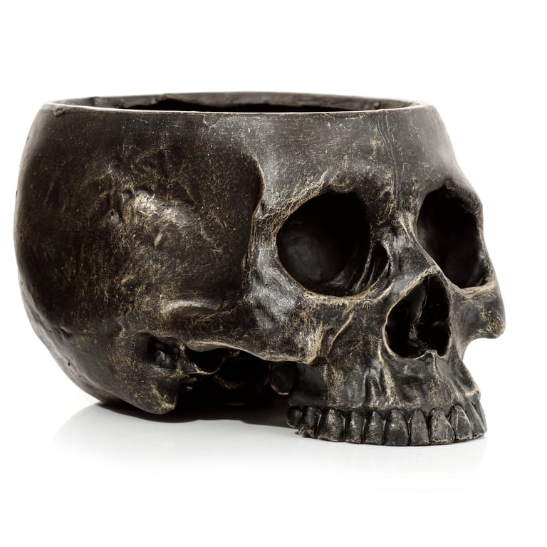 Skull Resin Planter - Indoor/Outdoor Garden Decoration with Drainage Hole