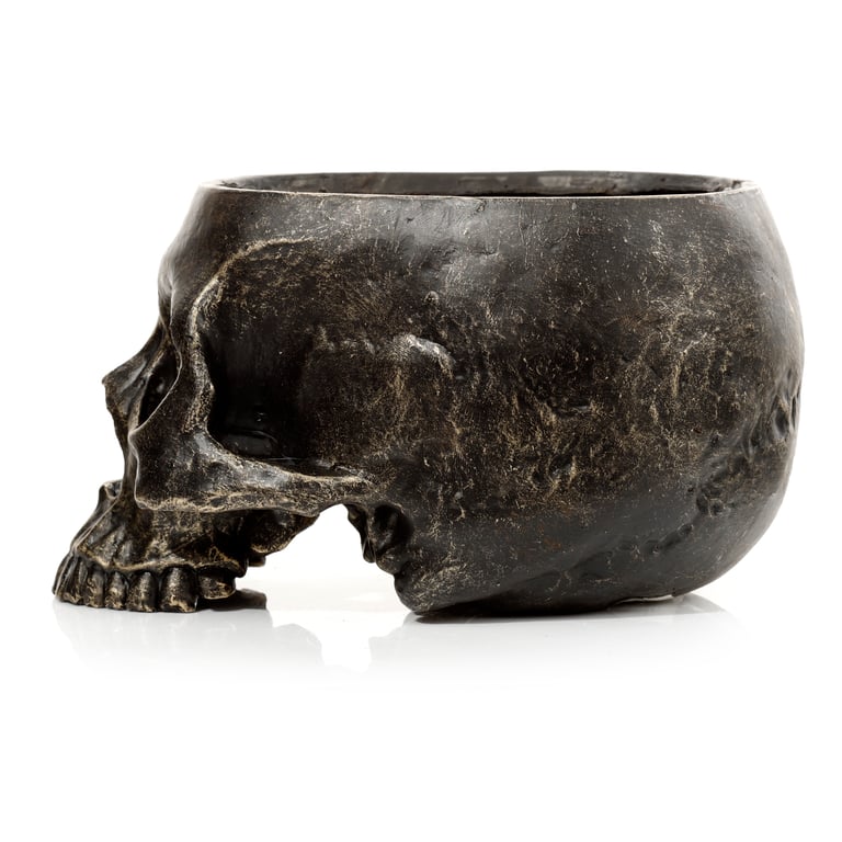 Skull Resin Planter - Indoor/Outdoor Garden Decoration with Drainage Hole