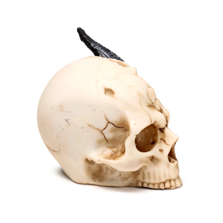 Resin Black Dragon Skull Statue - Small Home Decor Figurine