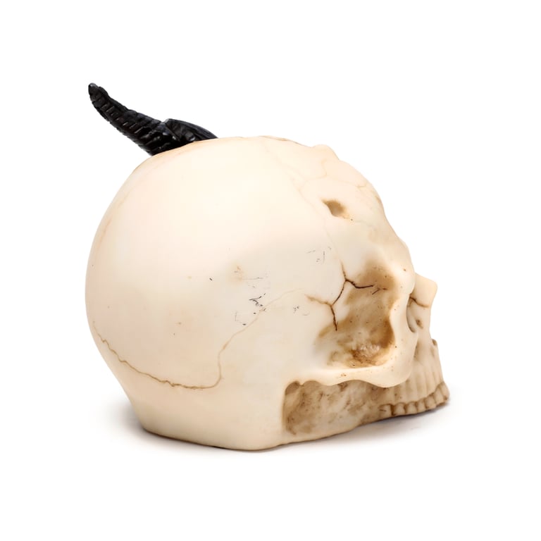 Resin Black Dragon Skull Statue - Small Home Decor Figurine