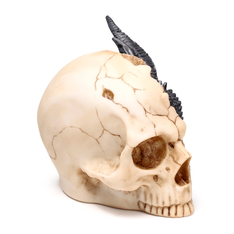 Black Dragon Resin Statue - Large Home Decor Sculpture with Skull Design