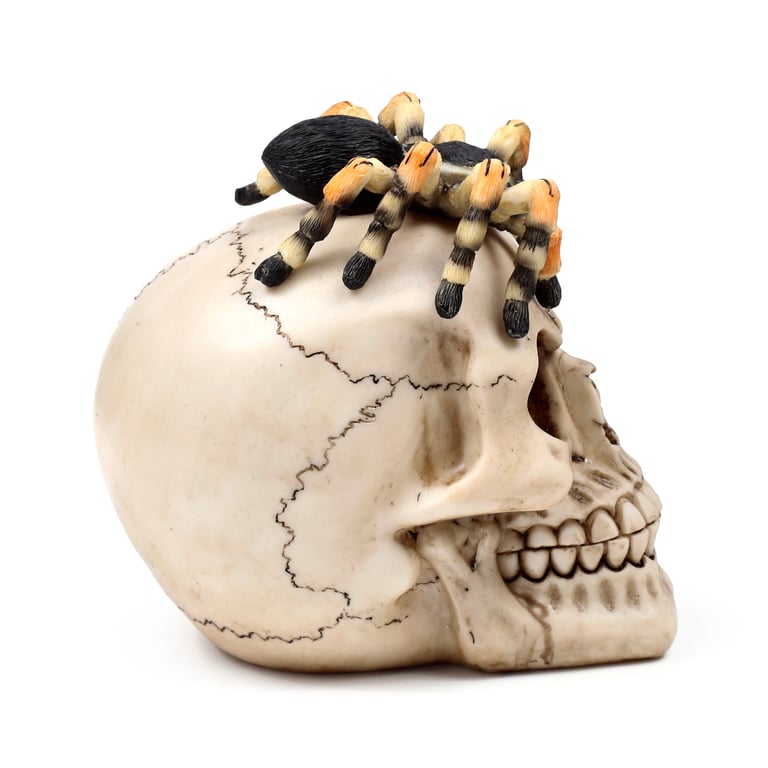 Resin Metal Skull Ornament with Spider Decoration