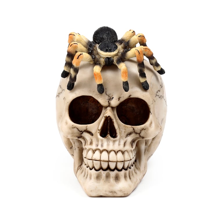 Resin Metal Skull Ornament with Spider Decoration