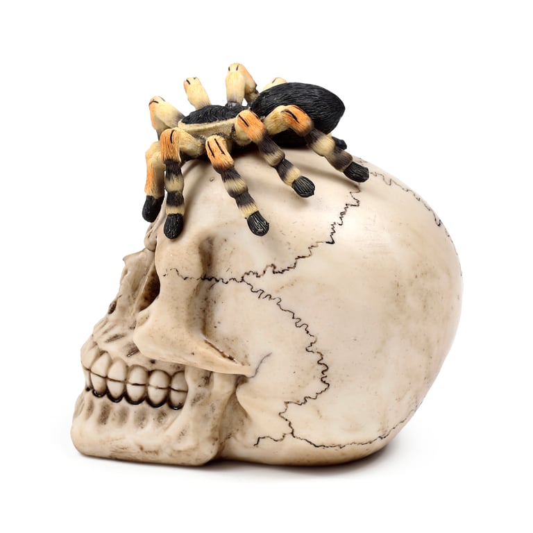 Resin Metal Skull Ornament with Spider Decoration