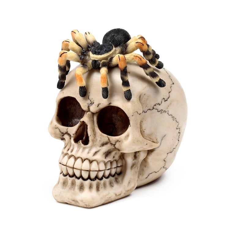 Resin Metal Skull Ornament with Spider Decoration
