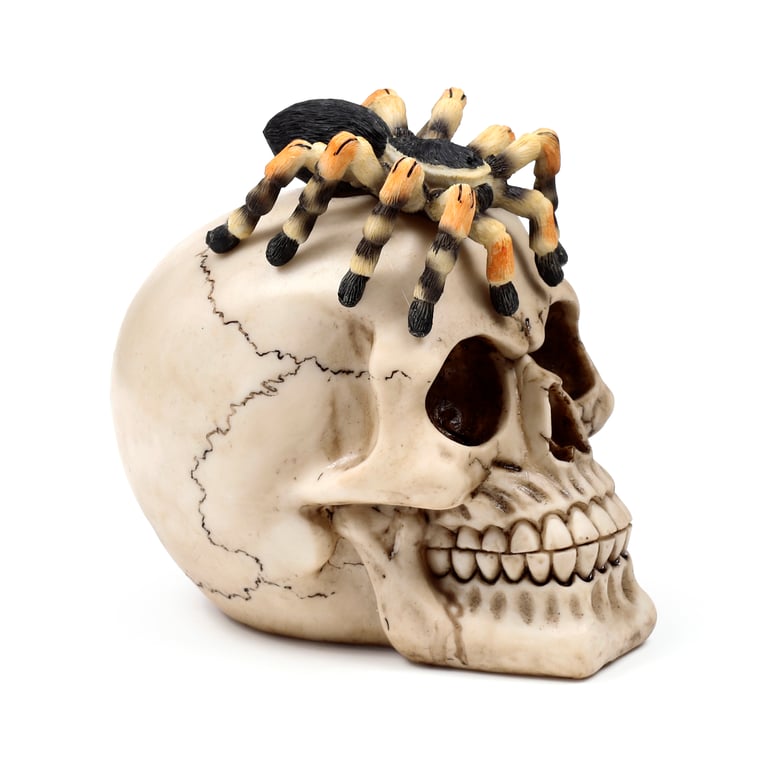 Resin Metal Skull Ornament with Spider Decoration