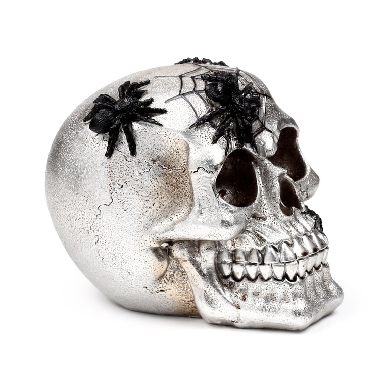 Silver Skull Resin Ornament with Black Spiders and Webs - Home Decor Decoration