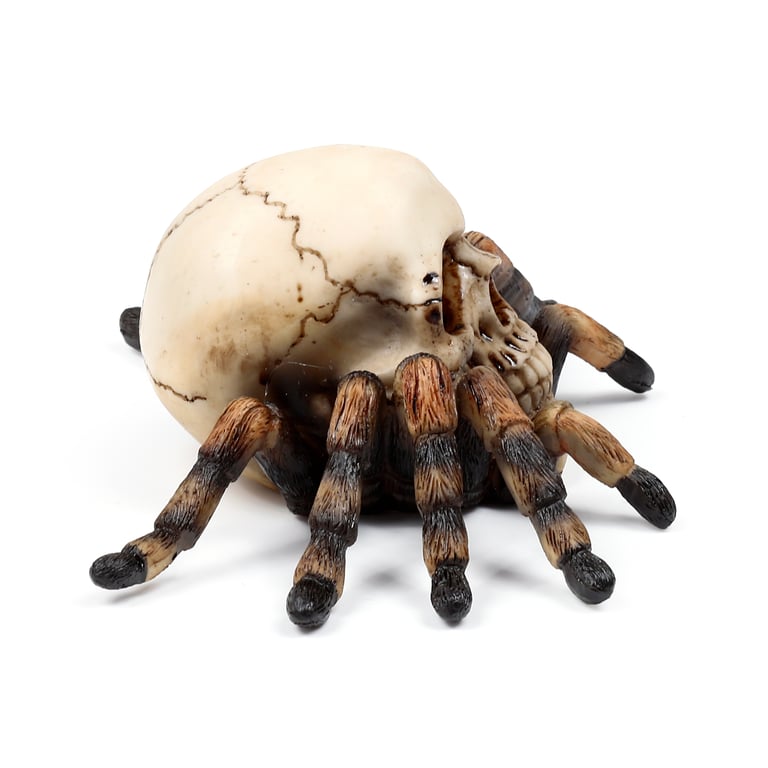 Skull Decorative Ornament - Resin & Metal with Spider Legs Accent