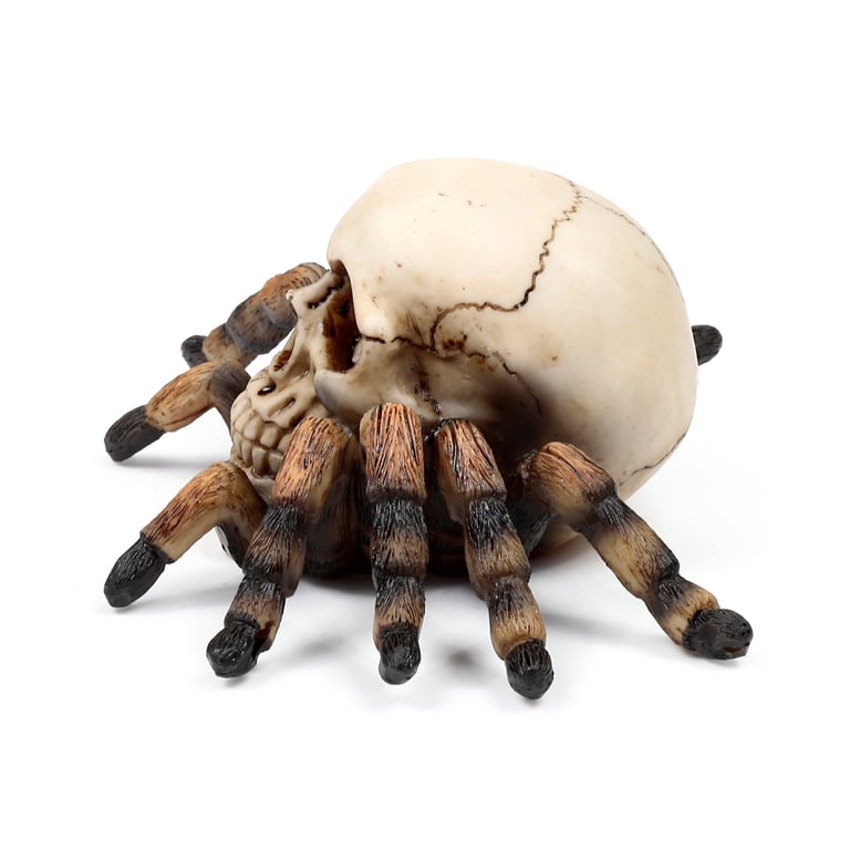 Skull Decorative Ornament - Resin & Metal with Spider Legs Accent